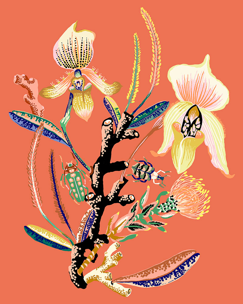 Orchid Vignette, 2020, Giclee print on Somerset Velvet paper 255gsm, 10" x 8", $35