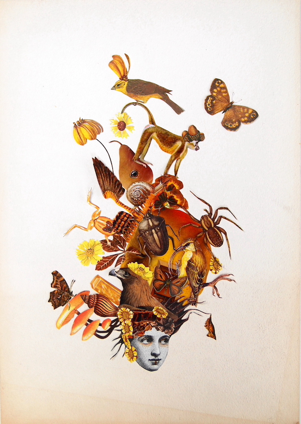 Katie McCann Dark Golden Brown, 2020 Collage on board 13 ½” x 9 ½”