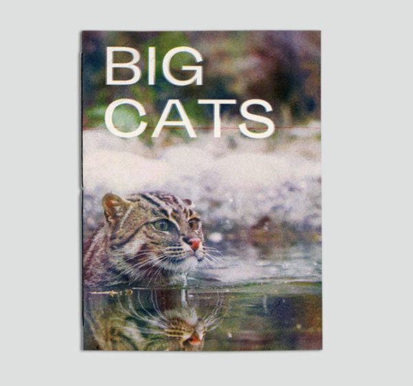 Shh Books Big Cats, 2019 Edition of 50 Riso printed, threadbound 20 pages 7” x 5”