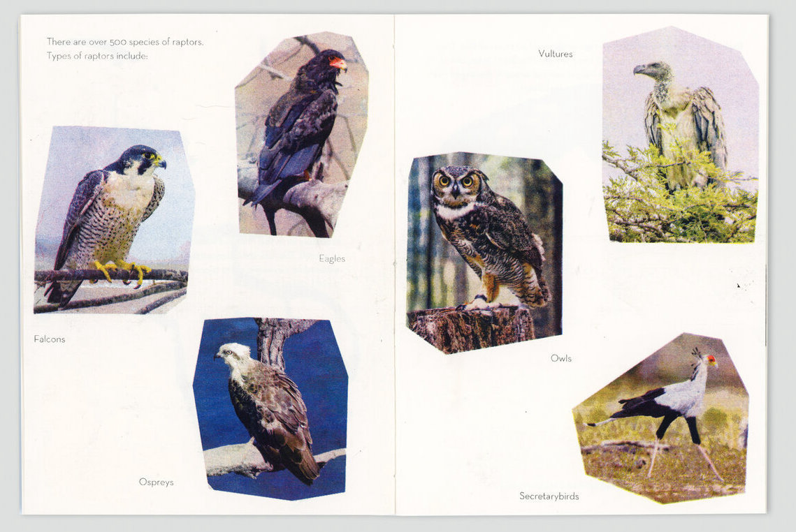 Shh Books Birds of Prey, 2020 Edition of 35 Riso printed, threadbound 20 pages 7” x 5”