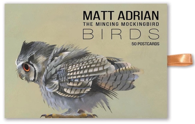 Mincing Mockingbird Matt Adrian Bird Postcards