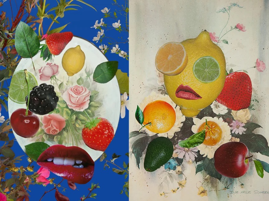 Fallen Fruit Fruit Collage journal