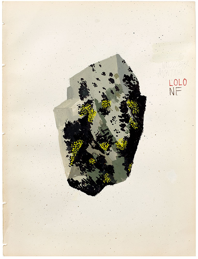 Basalt & Lichen July 5, 2019 Lolo National Forest, Montana Gouache, ink and graphite on paper  11 ¾” x 9”