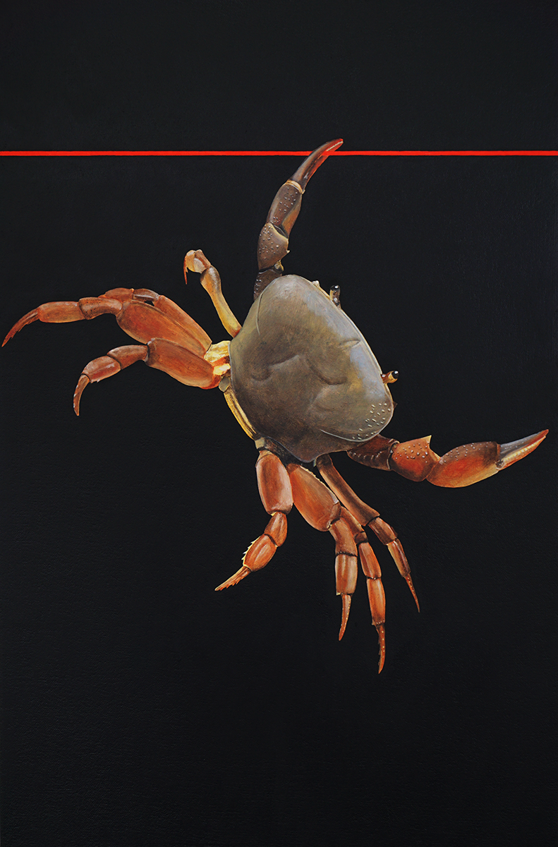 Claw, 2022  Oil on canvas  16" x 10 1/2"