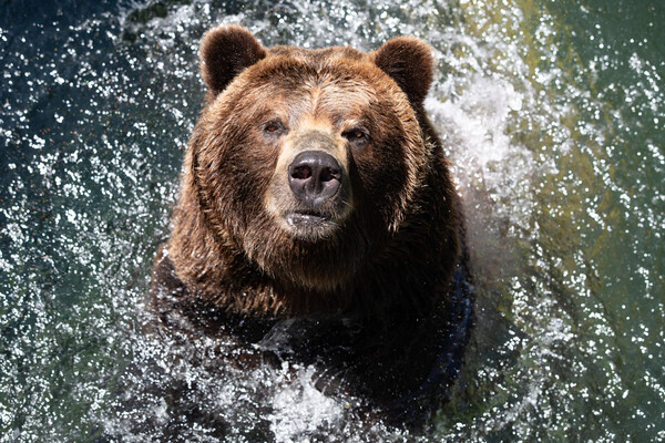 Woodland Park Zoo Seattle WA