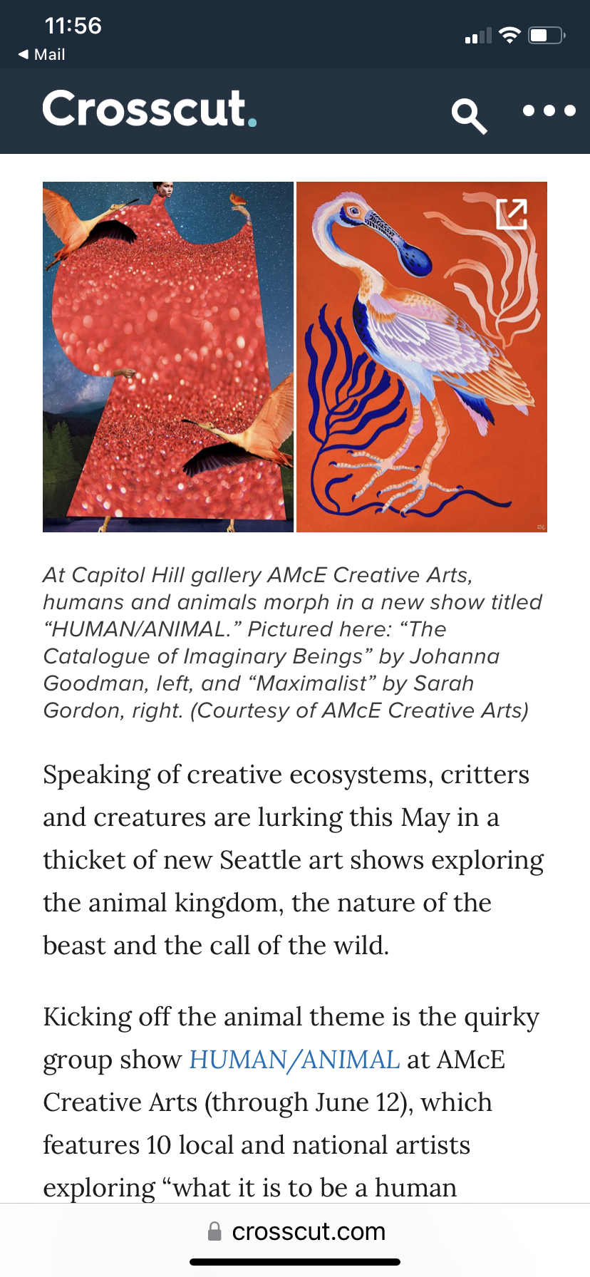 AMcE Creative Arts HUMAN/ANIMAL