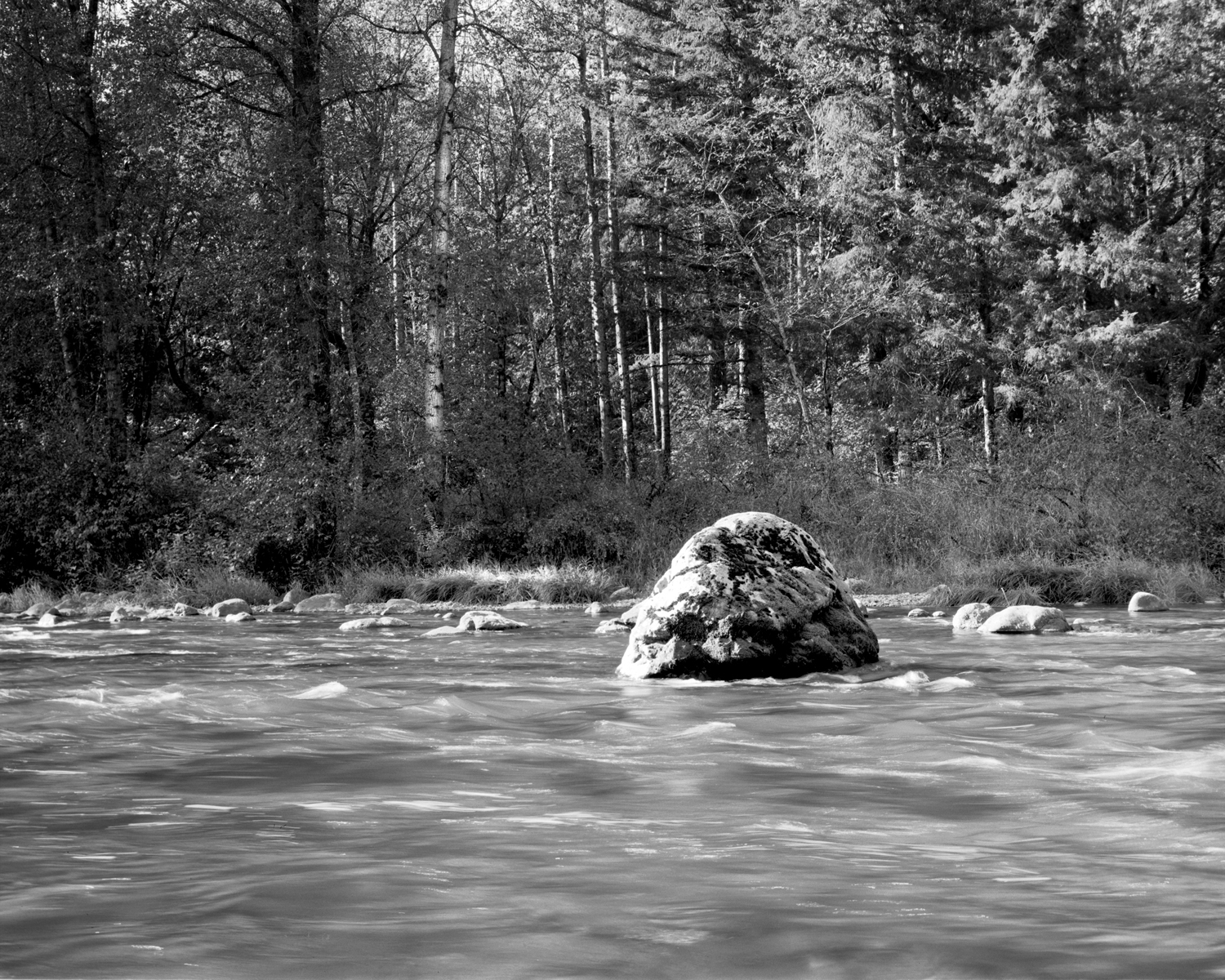 Ethan Bickel Duwamish River Artist Residency 