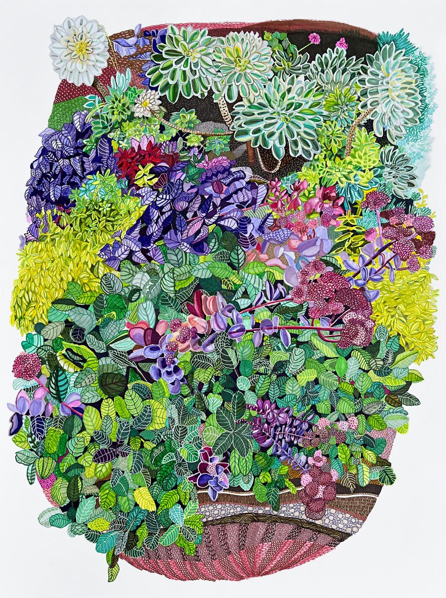 Sophia Allison Untitled (Museum Succulents) AMcE Creative Arts