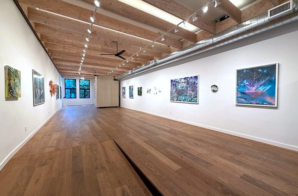 Sacred at AMcE Creative Arts